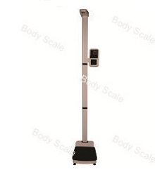 digital scale bodyscale bs286